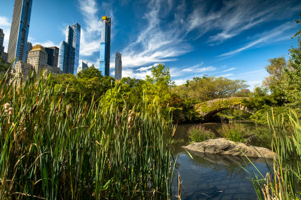 istock Manhattan skyscraper skyline view from Central Park New York City 1220628017