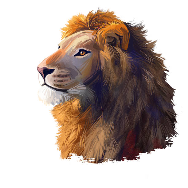 ilustrações, clipart, desenhos animados e ícones de retrato de aquarela de animal leão em close-up. gato de peito profundo com juba olhando para o lado. símbolo de poder e realeza. panthera leo representante, membro da ilustração de arte digital da família felina - illustration and painting image computer graphic lion