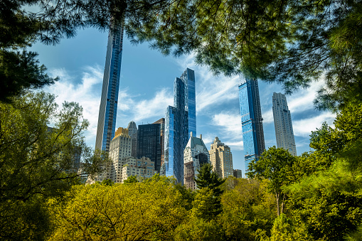 Apartment and condominium skyscraper residences rise up over the Manhattan skyline in Central Park in New York City USA