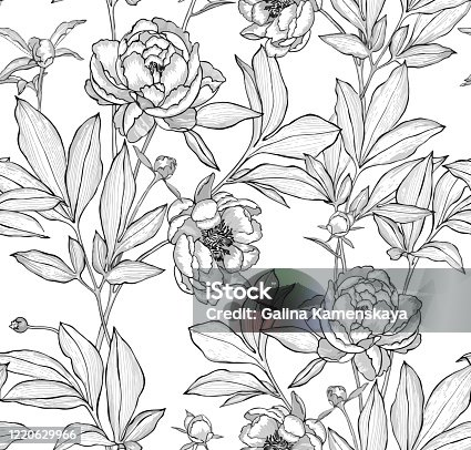 istock Floral seamless pattern made of elegant flowers. Outline detailed sketch line drawing. 1220629966