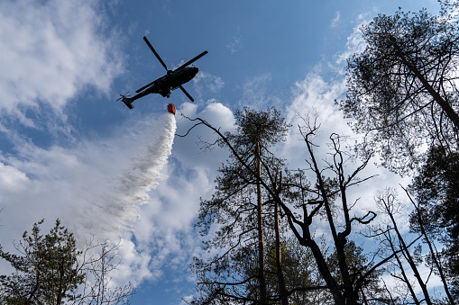 Helicopter putting out forest fire with a full bucket of water