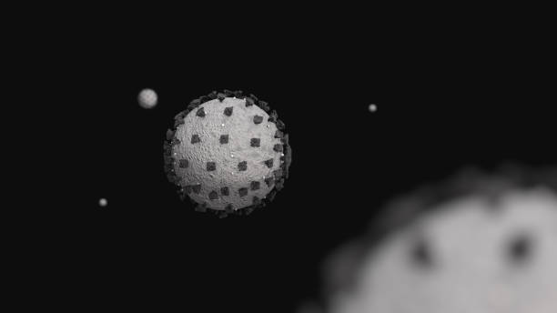 Minimalist grayscale illustration of viruses. From the new Coronavirus also known as Covid 19 that causes the 2020 pandemic. stock photo