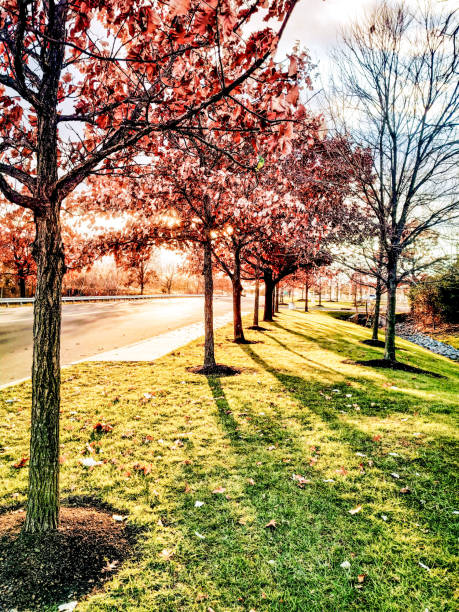 A beautiful evening in the Liberty State Park New Jersey City