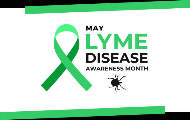 ilustrações de stock, clip art, desenhos animados e ícones de lyme disease awareness month. vector banner, warning poster for social media. illustration of lyme disease borreliosis. green ribbon, text and image of the tick. - lyme disease