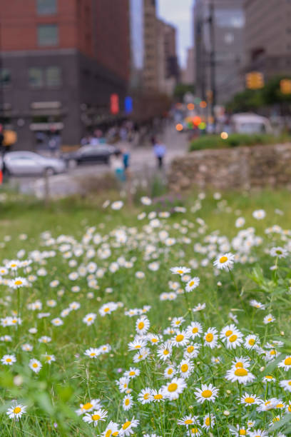 istock spring time new york city 1220637230