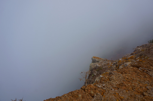 Chinamada - Tenerife