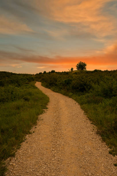 istock Sunrise on the Camino de Santiago through Navarra 1220637296