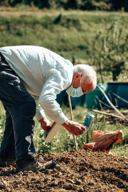 istock farmer during the corona virus checking the vegetable garden 1220643178