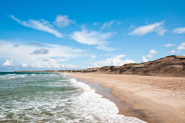 Empty beach on Atlantic coast - France Seascape : beachs are empty and desert during pandemic Covid 19 in Europe. There are no people because people must stay at home and be confine. Schools, restaurants, stores, beachs, parks... are closed. France. Soulac-sur-Mer, April 20th , 2020. desert wash stock pictures, royalty-free photos & images