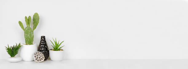istock Plants and home decor on a white shelf against a white wall banner 1220645527