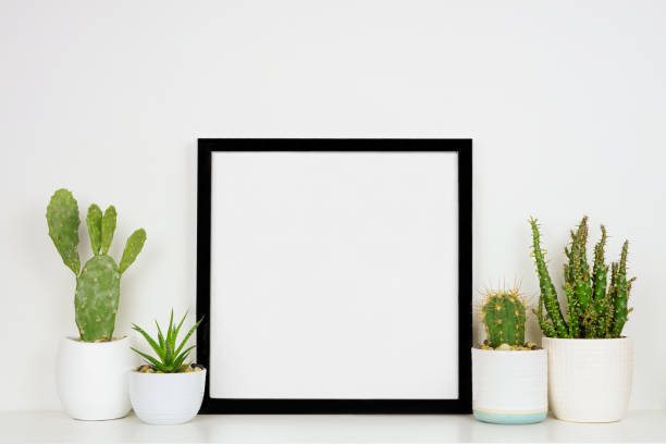 istock Mock up black square frame with potted cacti and succulent plants on a shelf against a white wall 1220645631