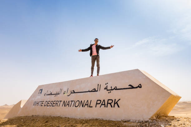 un hombre con los brazos abiertos en el desierto blanco, egipto. - white desert fotografías e imágenes de stock