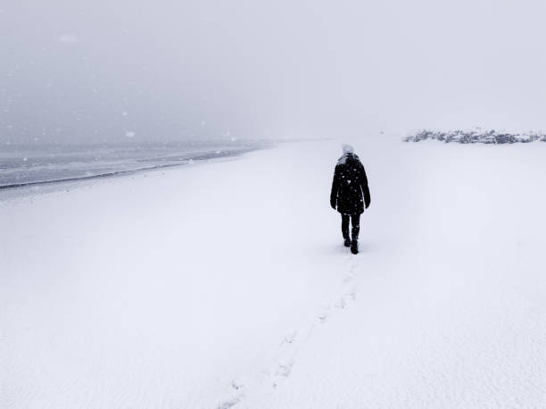 donna che cammina durante la tempesta di neve sulla spiaggia di sabbia nera coperta di neve a vik - myrdal, islanda - rear view winter blizzard nordic countries foto e immagini stock