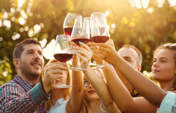 Friends toasting red wine glasses with sun flare - Friendship concept stock photo