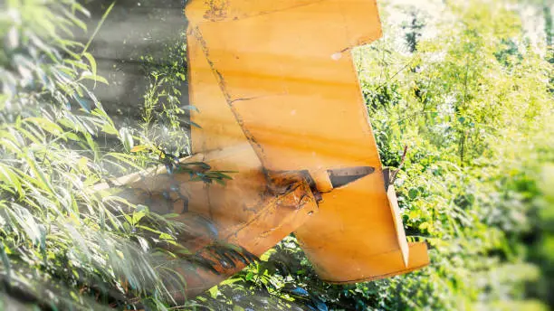 Photo of Yellow plane crashes into a bush with sunrays from side