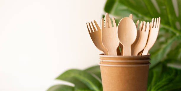 bunner eco friendly disposable kitchenware utensils on white background. wooden forks and spoons in paper cup. and green leaf. ecology, zero waste concept. copyspace stock photo