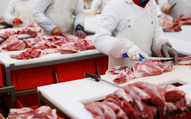 un gruppo di lavoratori della fabbrica di carne, ha tritato una carne di manzo fresca in pezzi sul tavolo della lavorazione dei metalli, industria di trasformazione degli alimenti. - butcher meat butchers shop steak foto e immagini stock