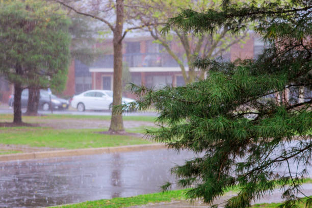 istock Rainwater dripping the rainy season apartment 1220659588