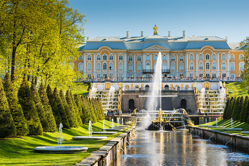 Saint Petersburg, Russia - May 18, 2019: Golden fountains of Peter's Palace, Saint Petersburg, Russia