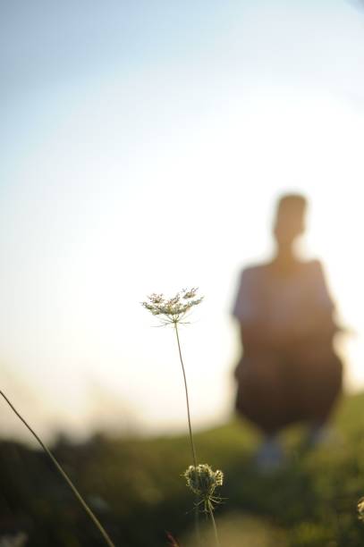 istock Silhouette of a man behind a flower 1220666051