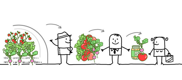 Cartoon Characters Vegetables Production Chain Stock Illustration - Download Image Now - Farmer, Producer, Consumerism - iStock Cartoon Characters Vegetables Production Chain Stock Illustration - Download Image Now - Farmer, Producer, Consumerism - iStock