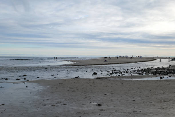 istock Malibu Creek flowing into the Pacific Ocean 1220670962