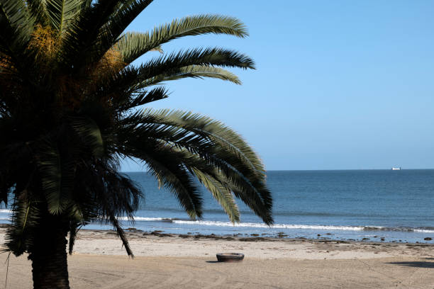 istock A beautiful beach at a tropical paradise 1220671954