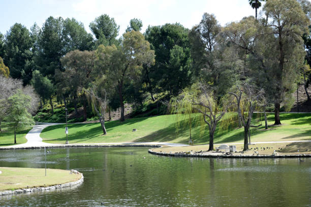 istock Wildlife at the Park 1220675629