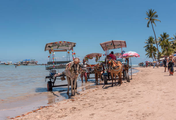 Tamandaré district, Pernambuco state, Brazil - November 23, 2019:Tourists enjoying a summer day on the beach.