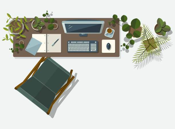 Place of work Desk with computer, paper and coffe - Decorated with plants directly above illustrations stock illustrations