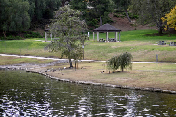 istock Animal Wildlife at the Park 1220677101