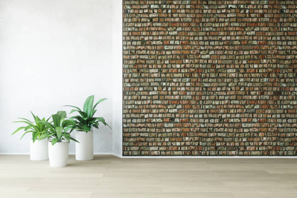 istock Empty Interior Room with Plants near the Brick Wall. 1220678067