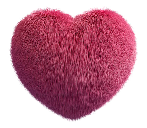 Pink fur fluffy heart isolated on white background. Valentines day concept. 3D rendering image. Pink fur fluffy heart isolated on white background. Valentines day concept. 3D rendering image heart shape valentines day fur pink stock pictures, royalty-free photos & images