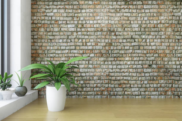 창과 식물이 있는 방의 코너 - office parquet floor apartment three dimensional 뉴스 사진 이미지