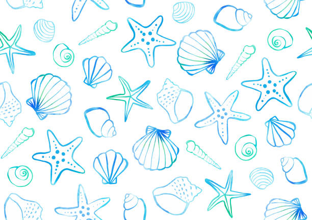 3,300+ Sea Shell White Background Stock Illustrations, Royalty-Free ...