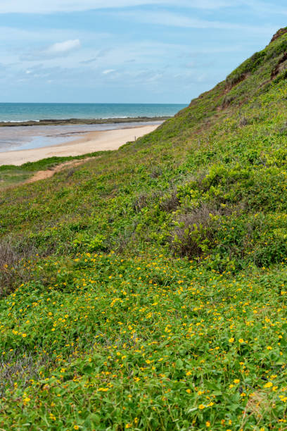 istock Sagi beach, Baia Formosa, near Natal and Pipa beach 1220686735