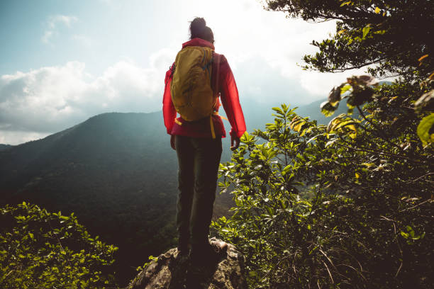 istock Successful hiker enjoy the view on mountain top cliff edge 1220689753