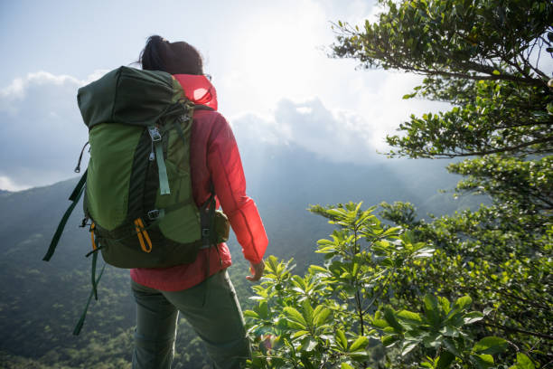 istock Successful hiker enjoy the view on mountain top cliff edge 1220690325