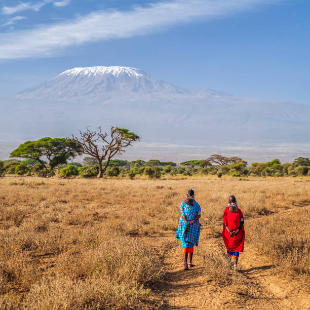 mujeres maasai cruzando sabana, monte kilimanjaro en el fondo, kenia, africa - masai community africa indigenous culture fotografías e imágenes de stock