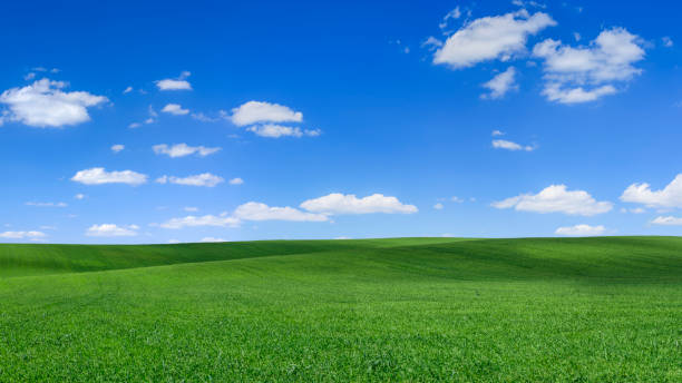istock Panoramic spring landscape XXXXL 50 MPix - green field, blue sky 1220691623