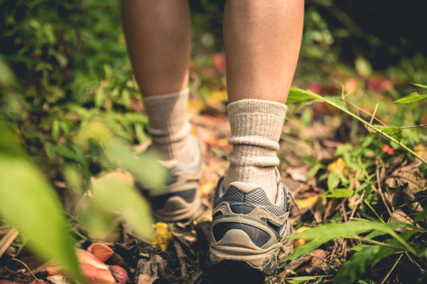 istock Young woman hiker legs walking on trail in spring mountains 1220691652