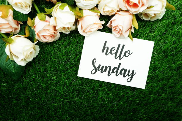 istock Hello Sunday Card and Roses flower with space copy background 1220692583