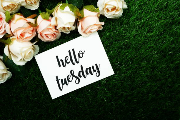 istock Hello Tuesday Card and Roses flower with space copy background 1220692605