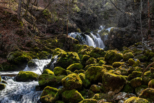 istock Rocks covered in moss, Voje valley, Bohinj 1220695428