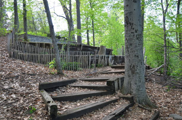 istock wood stairs with carved tree in forest 1220698278
