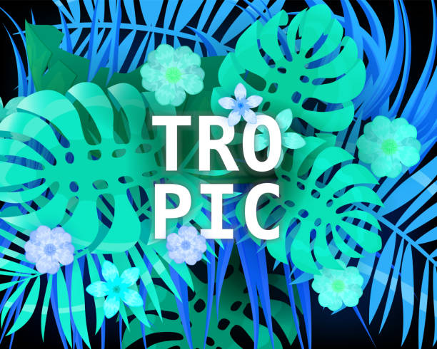 istock Summer trendy neon tropical leaves exotical plants palm jungle leaf. Trending colors on dark background template banner. Vector illustration isolated 1220700184