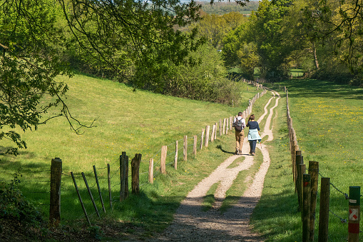 A man and woman walk between meadows to a forest in the spring. Walking path with a fence on both sides. The photo was taken at the so-called Elysian fields near Ubbergen, Netherlands