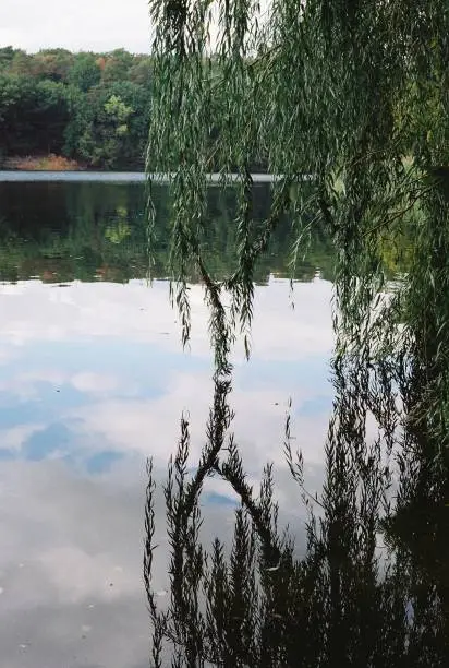 a lake in Berlin