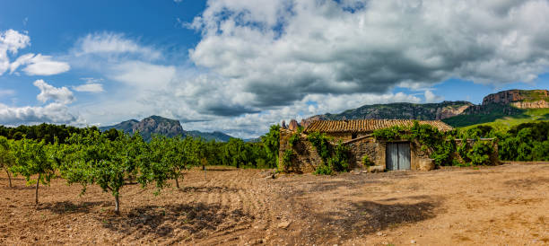 istock Landscape with olive trees in Aragon, Spain 1220710327