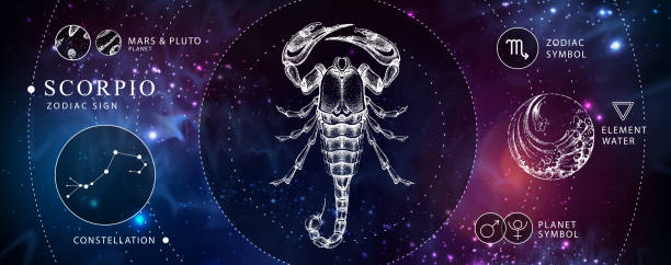 istock Modern magic witchcraft card with astrology Scorpio zodiac sign. Realistic hand drawing scorpion illustration. Zodiac characteristic 1220717077